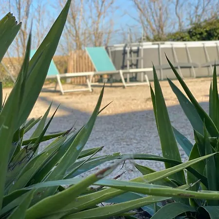 Caravan Paradise - Delta Del Ebro אתר קמפינג